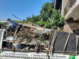 Best Electronics and E-Waste Disposal  in Inkster, MI